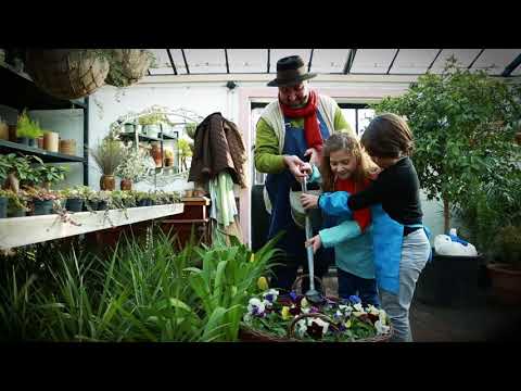 მწვანე გაკვეთილები ზურაბ შევარდნაძესთან ერთად