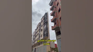 ميسطارة ماشي عمارة Shorts Shortvideo Shortsfeed Share Short Shortsvideo Shortsviral Shots 