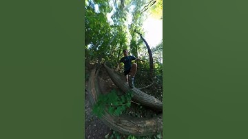 Running in the forest #insta360 #runner #triathlon #trailrunning #cycling