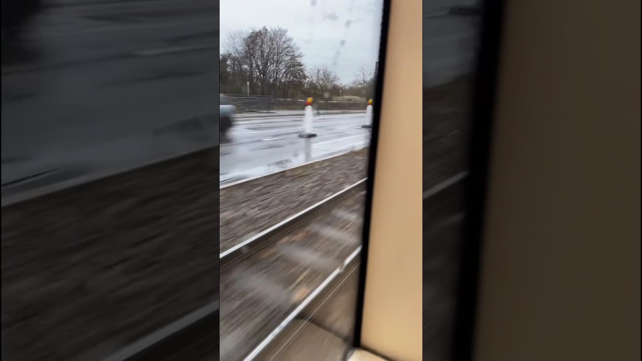 Straßenbahn Mannheim Linie 1: Hochschule - Rheinau Karlsplatz 