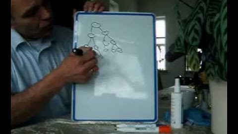 MLM explanations: Binary and linear systems