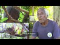 [NCTV] Sur les traces du passé - La toponymie