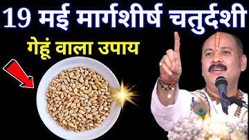 19 नवंबर मार्गशीर्ष बुधवार चतुर्दशी के दिन 5 गेंहू के दाने वाला उपाय जरुर करे || Pradeep Ji Mishra
