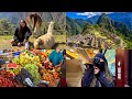 traveling with strangers to Peru! MACHU PICCHU + Cusco vlog