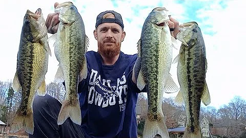 This bait kills for winter spotted bass Lake Norman