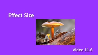 PSY 230 Video 11.6: Effect Size