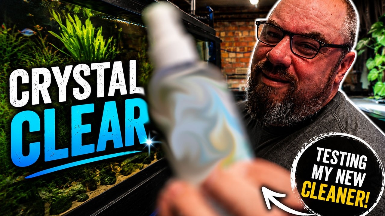 You're Cleaning Your Aquarium Glass WRONG!