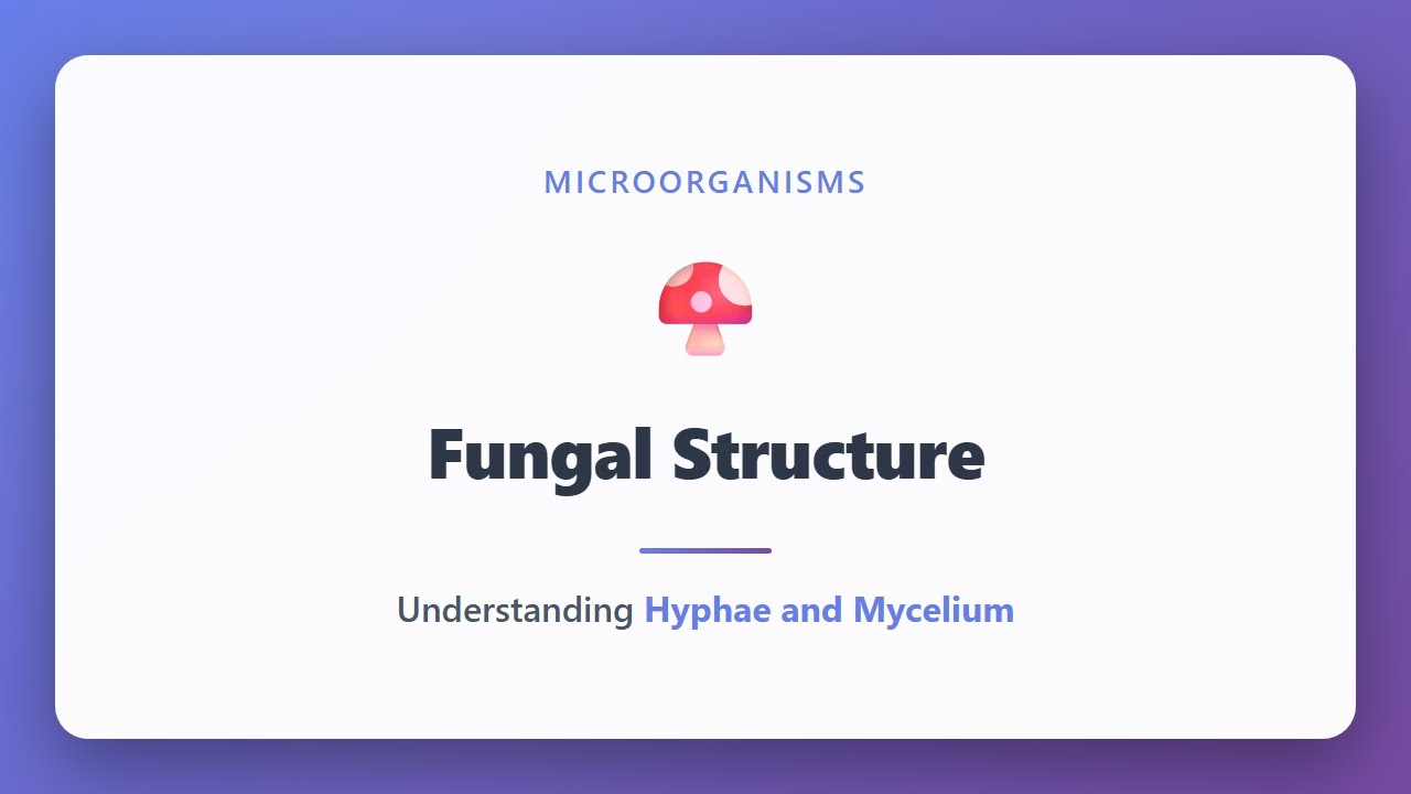Fungal Structure: Hyphae and Mycelium Explained | Microorganisms Biology