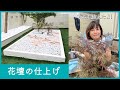 花壇を作る、紅葉を育てる！木と生きる【DIY】