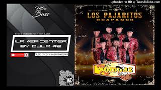 Video thumbnail of "Los Pajaritos Huapango "EPICENTER" - Los Kompaz Del Rafa"