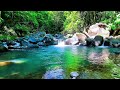 Natural mountain water sounds for calm nights
