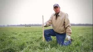 Using a Grazing Stick to Determine Stocking Rates on Winter Pasture