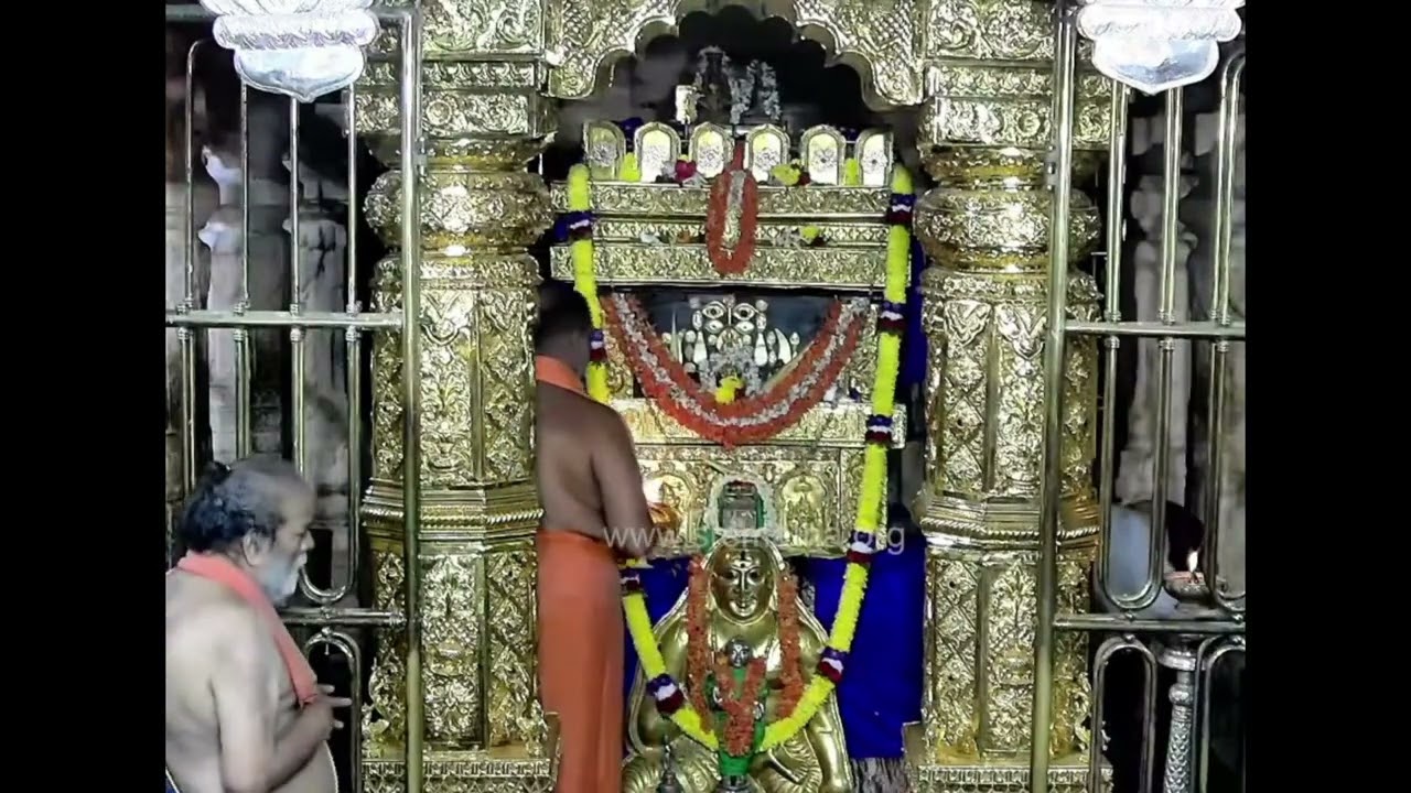 25-02-2026 | Today's Mantralaya shree Moola Ramadevara pooja | #raghavendraswamy #mantralayam 