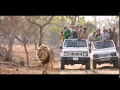 Animal Adventure Park - YouTube