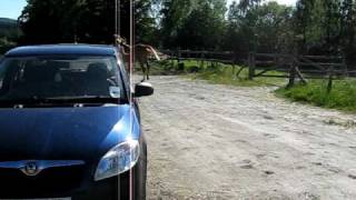Video Thumbnail for MVI 0584