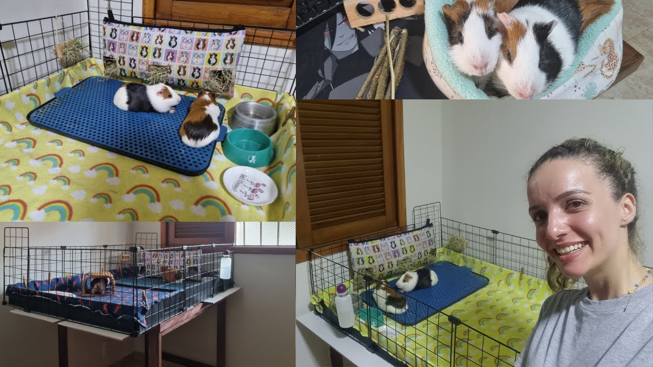 MEU CERCADO SUSPENSO: TUDO SOBRE ISSO e a ROTINA de limpeza COMPLETA!