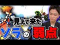 【新キャラ】「ソラの技」○○が不足している事が分かりました。【スマブラSP】
