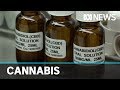 New pathway to access medicinal cannabis in SA | ABC News