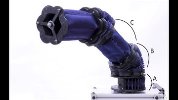 Modular Soft Robotic Arm