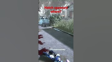 Really close hatch escape!