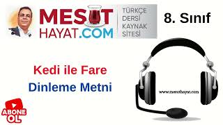 Kedi Ile Fare Dinleme Metni - 8. Sınıf