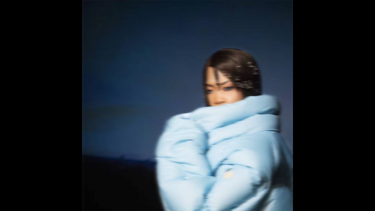 shygirl - shlut (cupcakke remix)