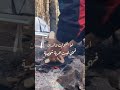 ان الحرية الشخصية هي ان تختار قهوتك بسكر او بدونه اترك اثرا طيبا بذكر الله