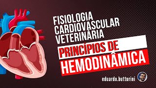 Princípios de hemodinâmica (aula 5) - Fisiologia cardiovascular