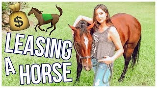 Leasing A Horse! | Beginner's Guide To Horses Pt.3