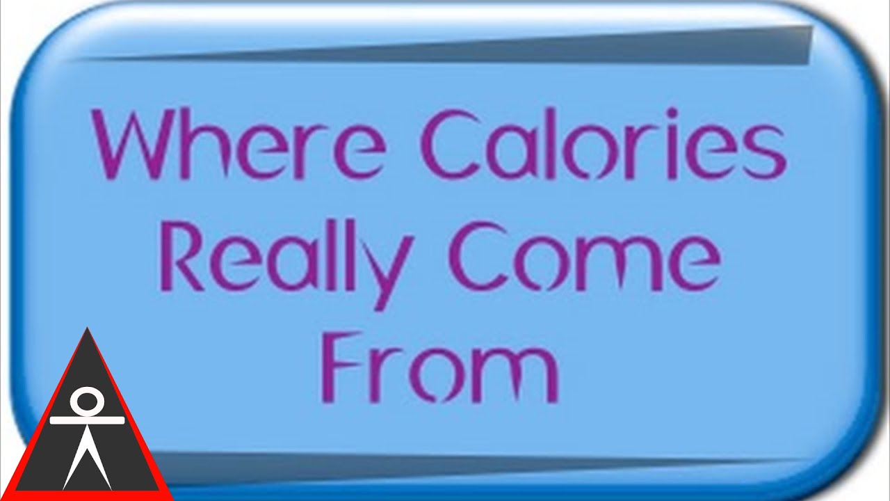 calisthenics workout program for beginners Where Calories Come From & Why They Really Are All The Same