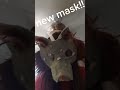 New mask!!! #forest #mask #theriangear #therian #furry #antitherian #fox