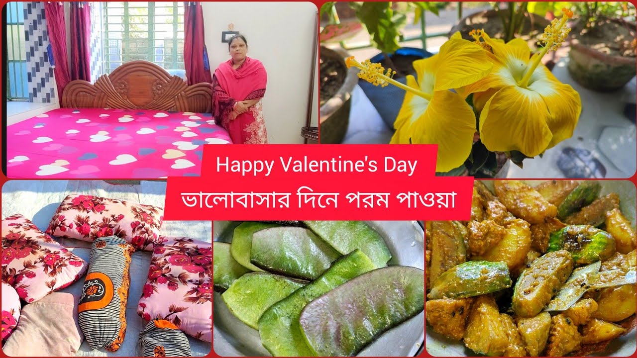 Happy Valentine's Day || এই চাদরটা আমার খুব প্রিয় || জবা ফুল দুটো একসঙ্গে ফুটেছে স্পেশাল দিনে ||