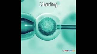 clonning (क्लोनिंग) dekh लो | kese hoti h