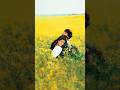 DDLJ Romantic Song Status  तुझे देखा तो शाहरुख खान &amp; काजोल