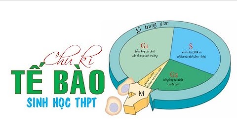 Chu kì tế bào được xác định như thế nào năm 2024