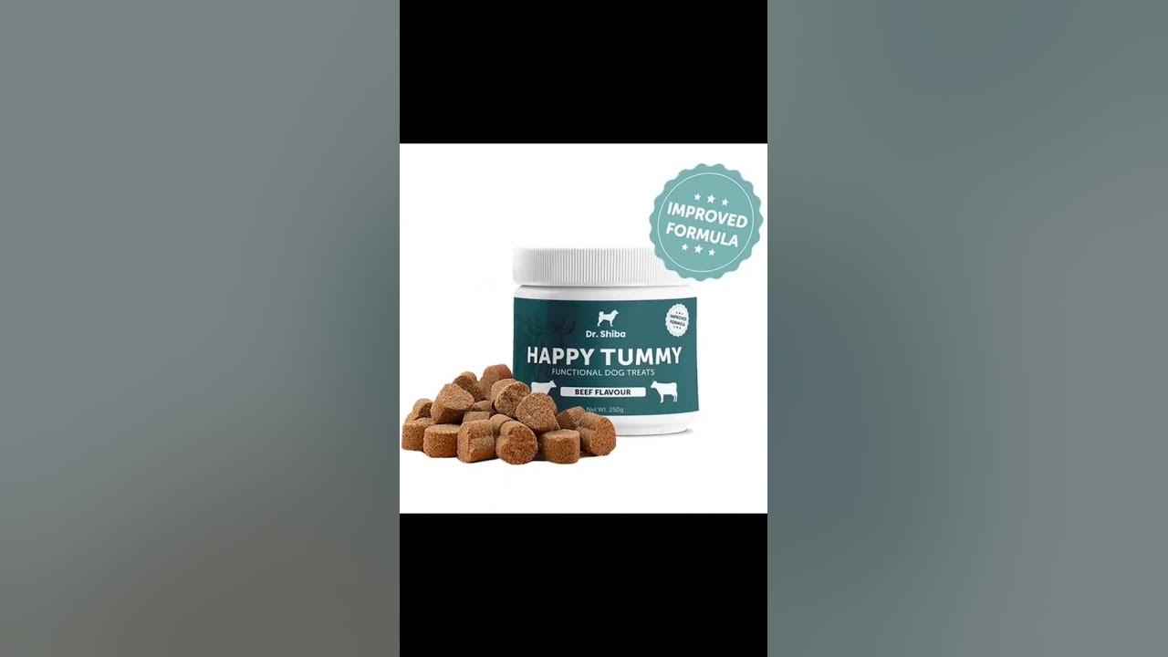 Paw licking signals underlying gut issues 🐾 1 Dog Supplement That Is By 100+ Vets