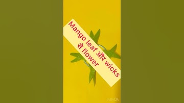 #wicks #mangoleafdecoration #diwalidecoration #banglescraft