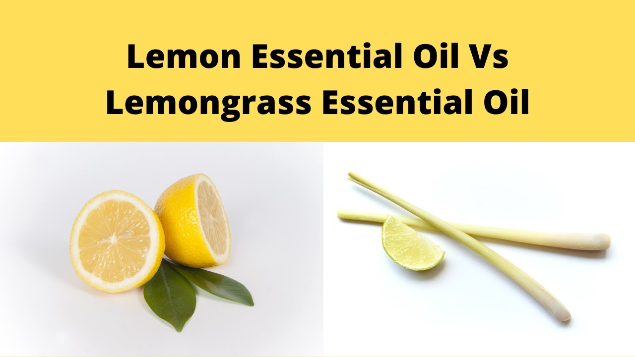 Lemon Essential Oil Vs Lemongrass Essential Oil YouTube