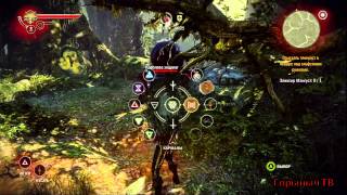 The Witcher 2. Прохождение Часть 17. (Кейран: тенекост)