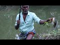 🐠🐠🐠தொடர்ச்சியாக 🎣தூண்டிலில் 🎣பிடித்த ஜிலேபி மீன்கள்🐟🐟🐟