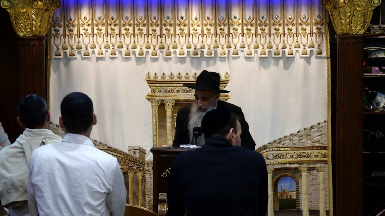 הרב מאיר דוד שמואלי שליט"א - שידור חי יום ד - פרשת ויקרא תשפ"ו