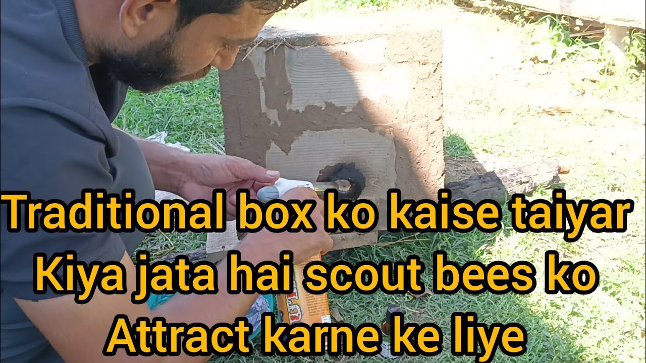 traditional box ko kaise taiyar kiya jata hai scout bees ko attract karne ke liye