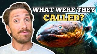 What Did We Call Electric Eels Before Electricity