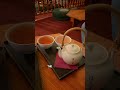 Relaxing Tea Stop at Dobra Tea | Asheville, NC
