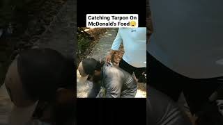 MCDONALD&#39;S FOOD Catches FISH!!!