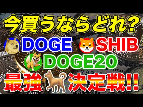 【半減期】ビットコイン超え!?…🐶ドージコイン(DOGE)vs柴犬コイン(SHIB)vsドージコイン20(DOGE20)