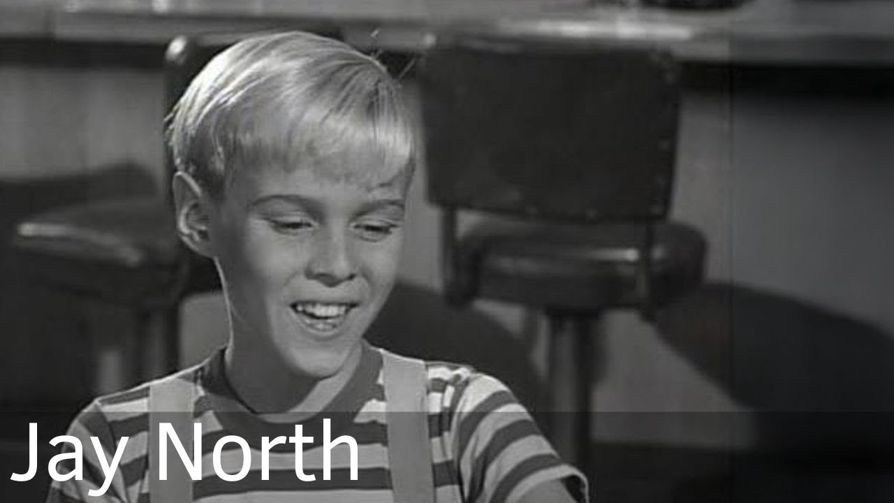 Jay North Biography - From Menace to Advocate