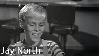 Jay North Biography - From Menace to Advocate