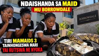 Ndaishanda Sa Maid Mu Borrowdale Tiri Mamaids 3 Tainhongeswa Mari Yai Rutswa Ne Nyoka