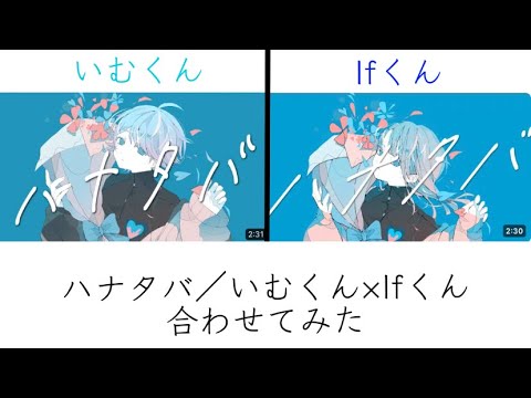 ハナタバ／青組【合わせてみた】【青組】#いれいす